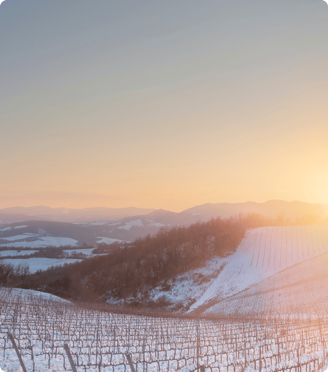 Winter Wine Program