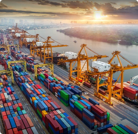 Duty, Tax and Foreign Excise Tax Coverage